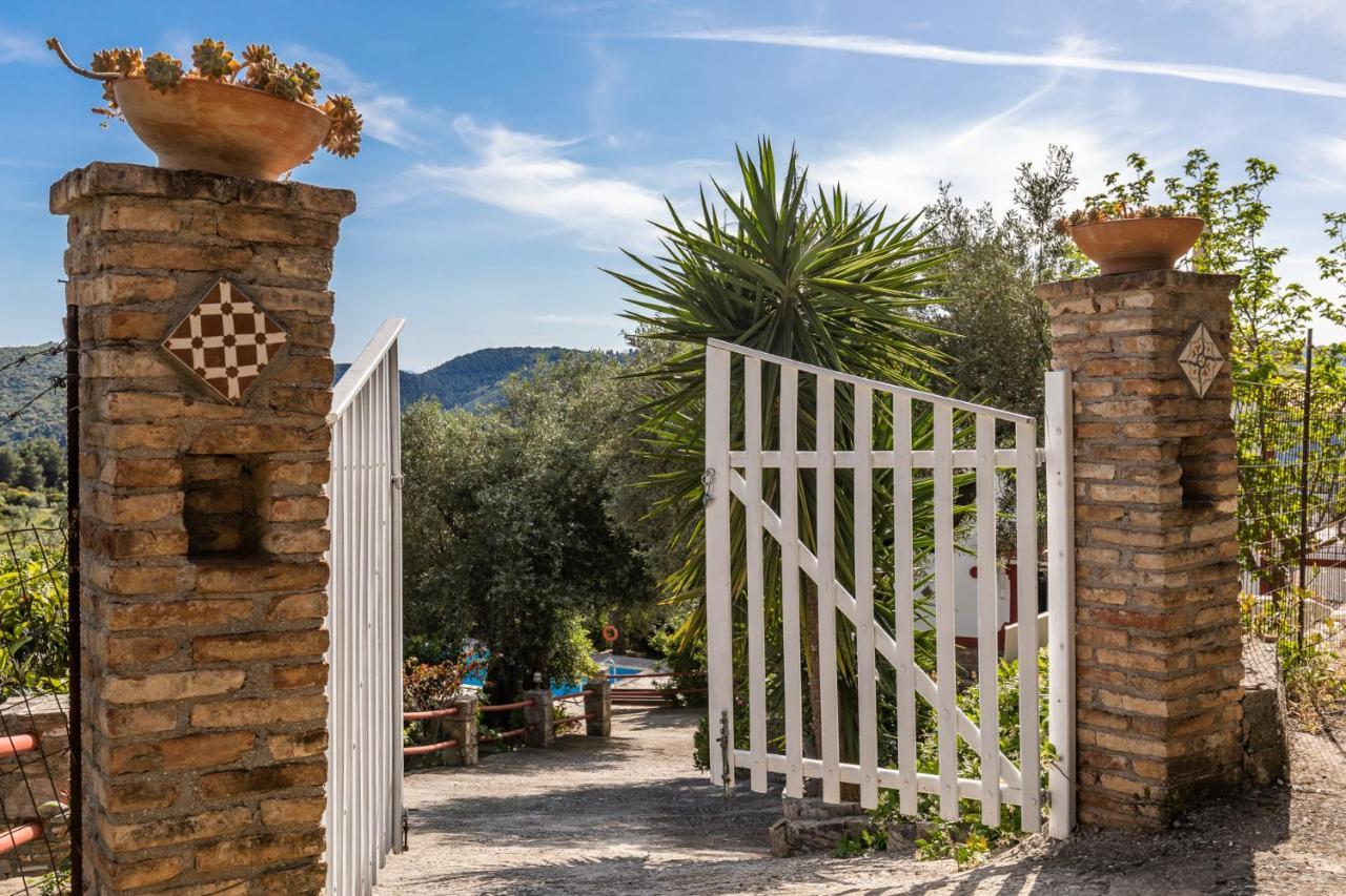 Villa Agia Marina Szkópelosz Kültér fotó